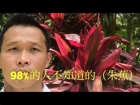 紅竹風水|紅竹風水2024年7月開運秘笈